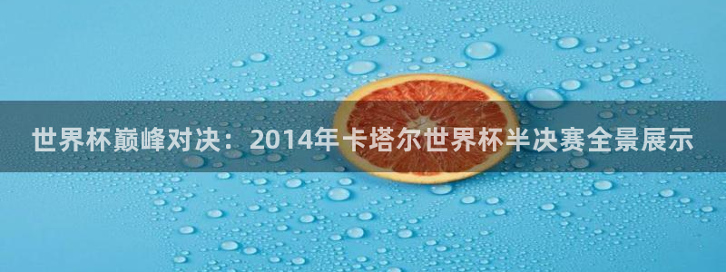 欧联杯直播:世界杯巅峰对决:2014年卡塔尔世界杯半决赛全景展示