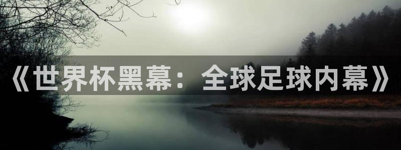世界杯预选赛欧洲赛区赛程:《世界杯黑幕:全球足球内幕》