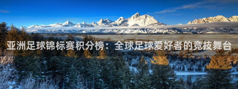 世界杯直播高清:亚洲足球锦标赛积分榜:全球足球爱好者的竞技舞台