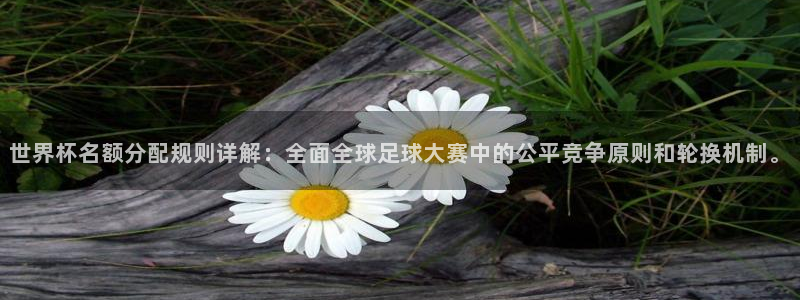 世界杯16强赛程表:世界杯名额分配规则详解:全面全球足球大赛中的公平竞争原则和轮换机制。